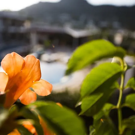 Genc 3* ボドルム