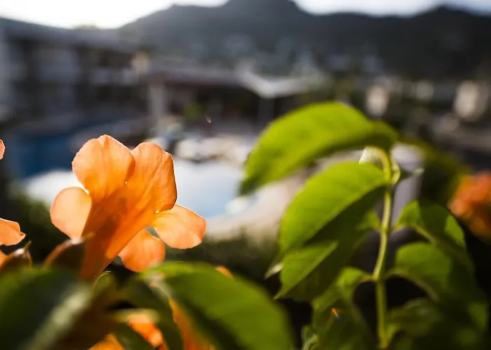 Genc 3* Αλικαρνασσός